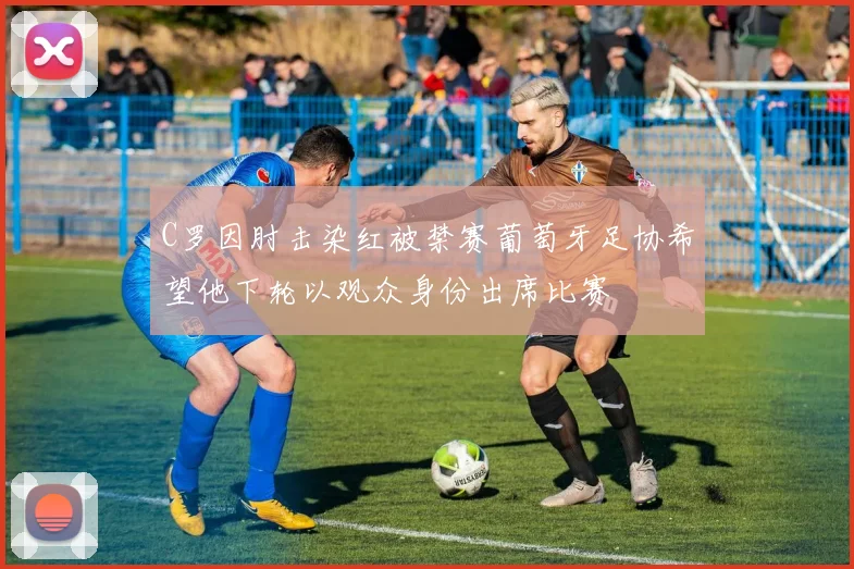 C罗因肘击染红被禁赛葡萄牙足协希望他下轮以观众身份出席比赛