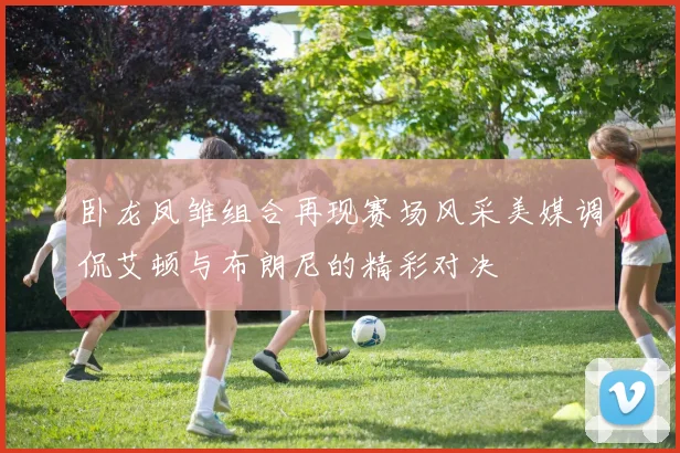 卧龙凤雏组合再现赛场风采美媒调侃艾顿与布朗尼的精彩对决