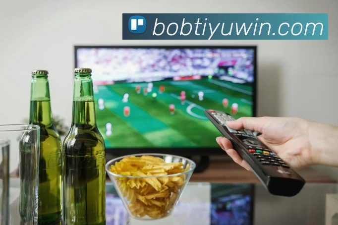 BOB体育发展历程