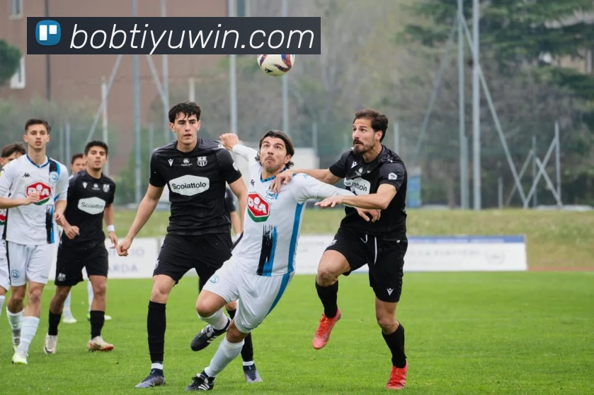 罗伯逊感慨能为苏格兰人民圆梦的球队一员是多么美妙的体验